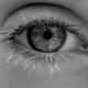 Cils